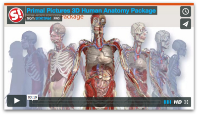 Human Anatomy Package