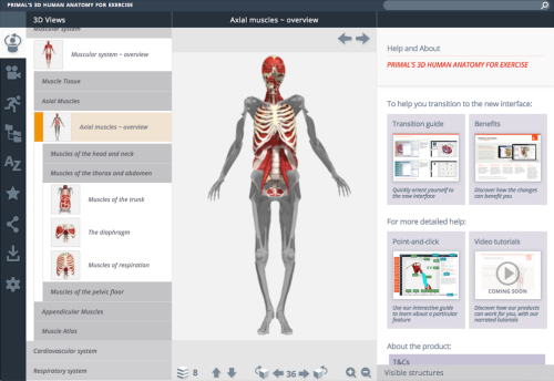 3d human anatomy for exercise.png